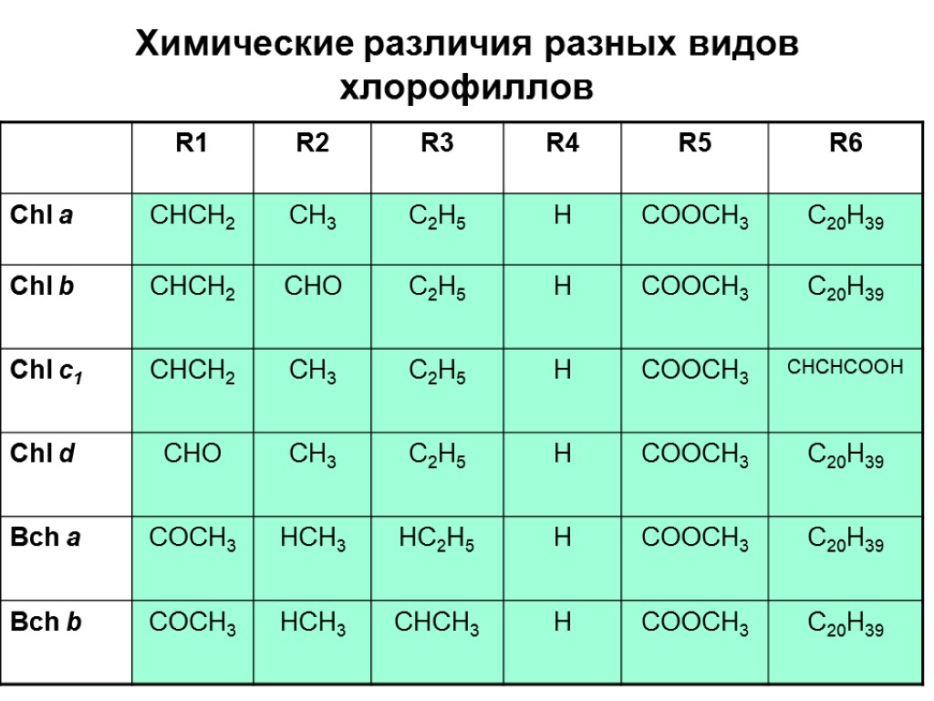 Химические различия разных видов хлорофиллов